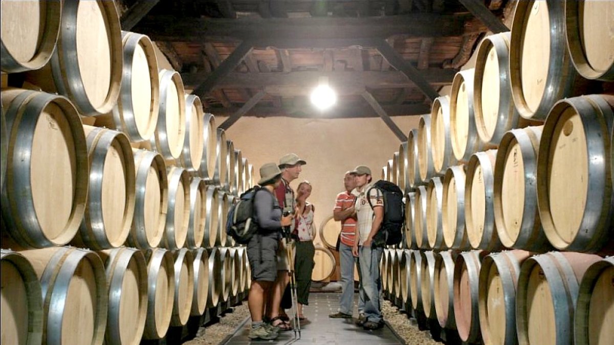 Visita guiada en una bodega de la DO Bierzo, en León. ICAL