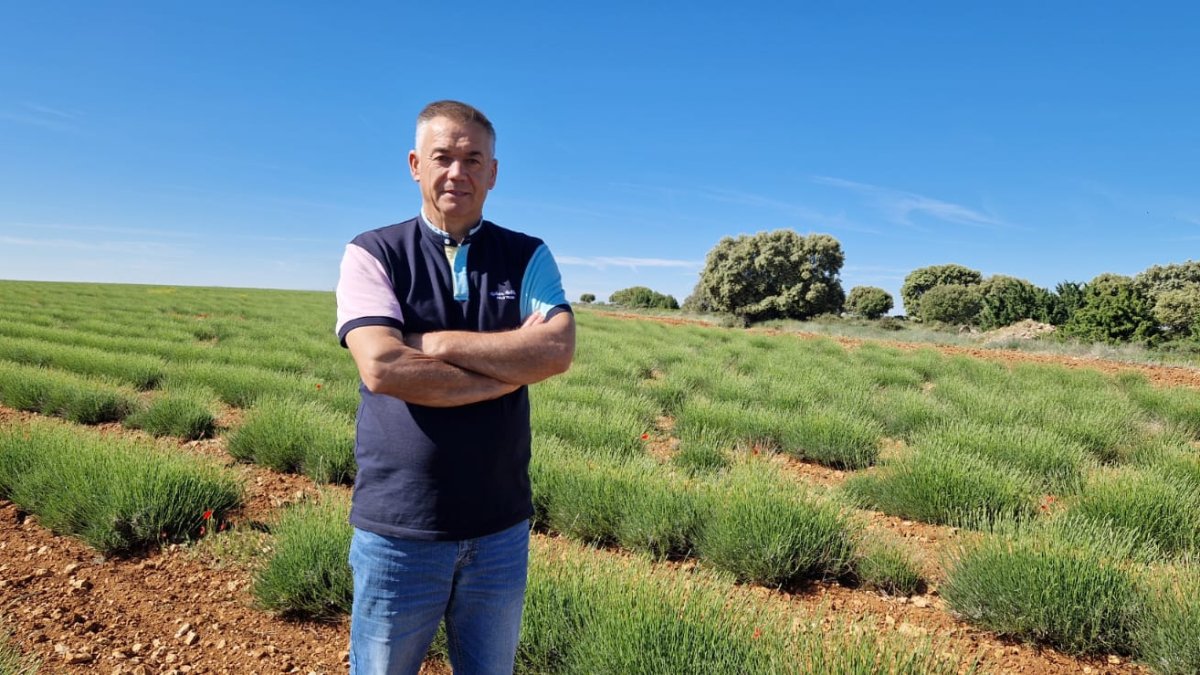 Miguel Cebrecos es el jefe de cultivos de la Cooperativa del Campo de Caleruega.