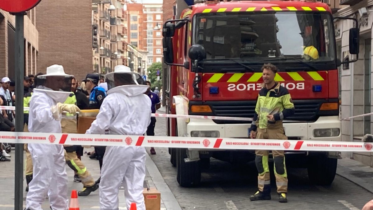 Los Bomberos retiran un enjambre de abejas de la calle Torrecilla de Valladolid