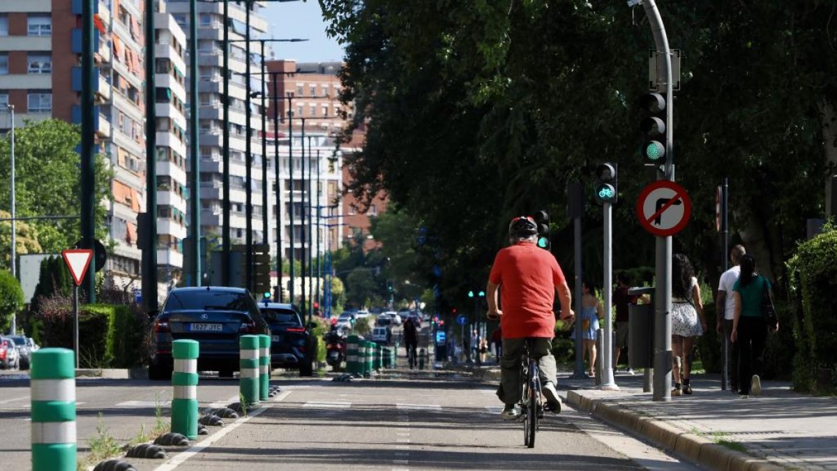 Carril bici, tramo entre puente Mayor y puente de Poniente.