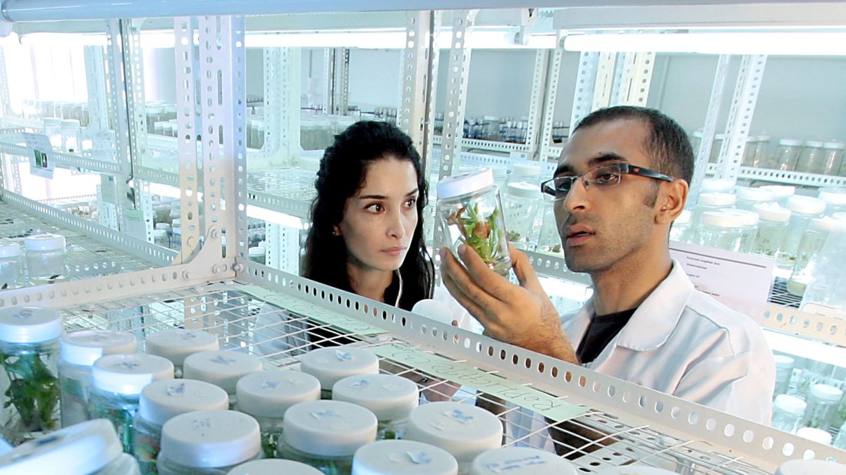 Dos investigadores realizan un experimento sobre productos vegetales en un laboratorio.