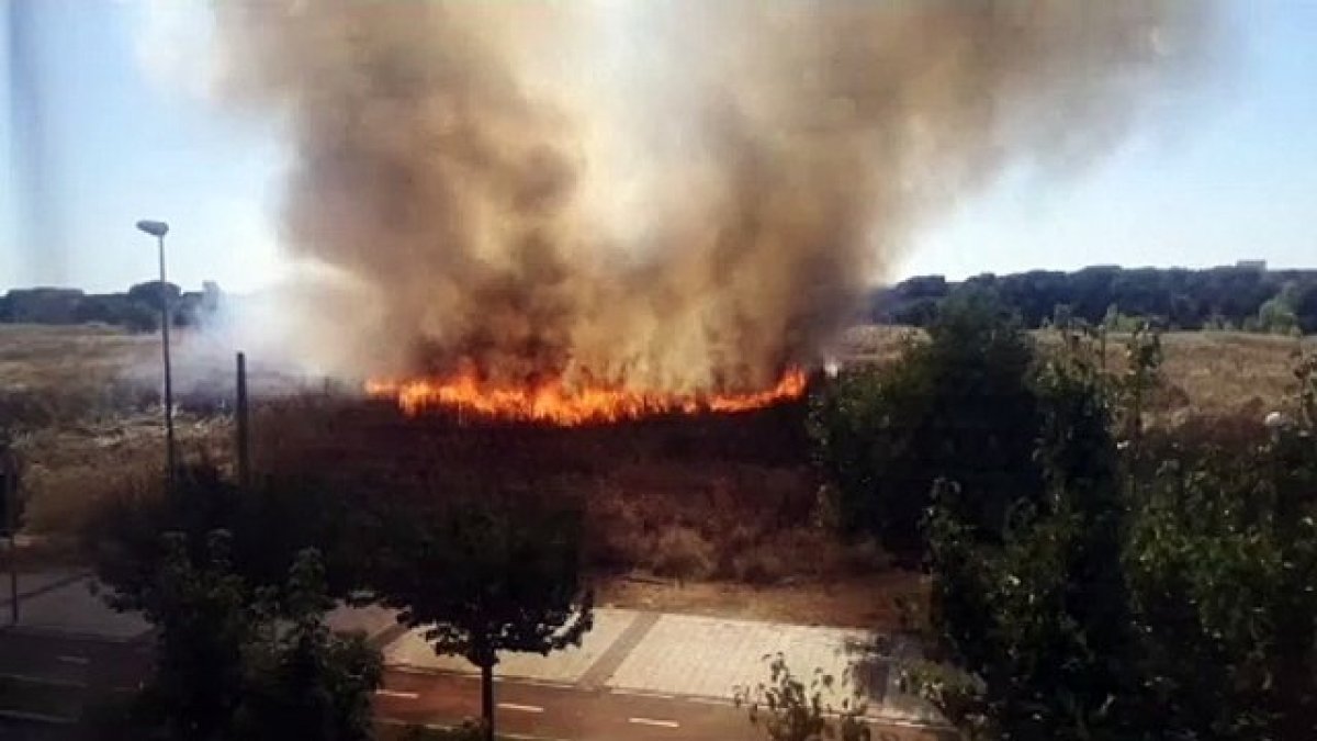 Incendio en Pinar de Jalón 2