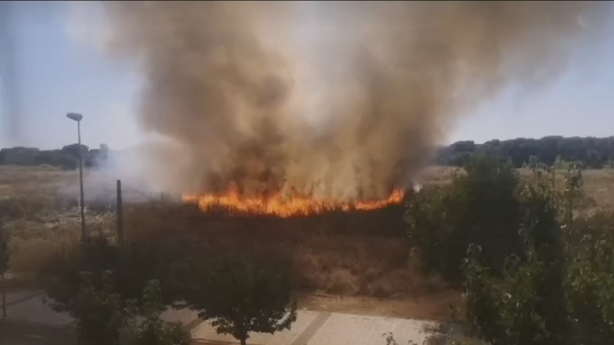 Imagen de archivo del primer incendio que se produjo en la parcela a finales de julio