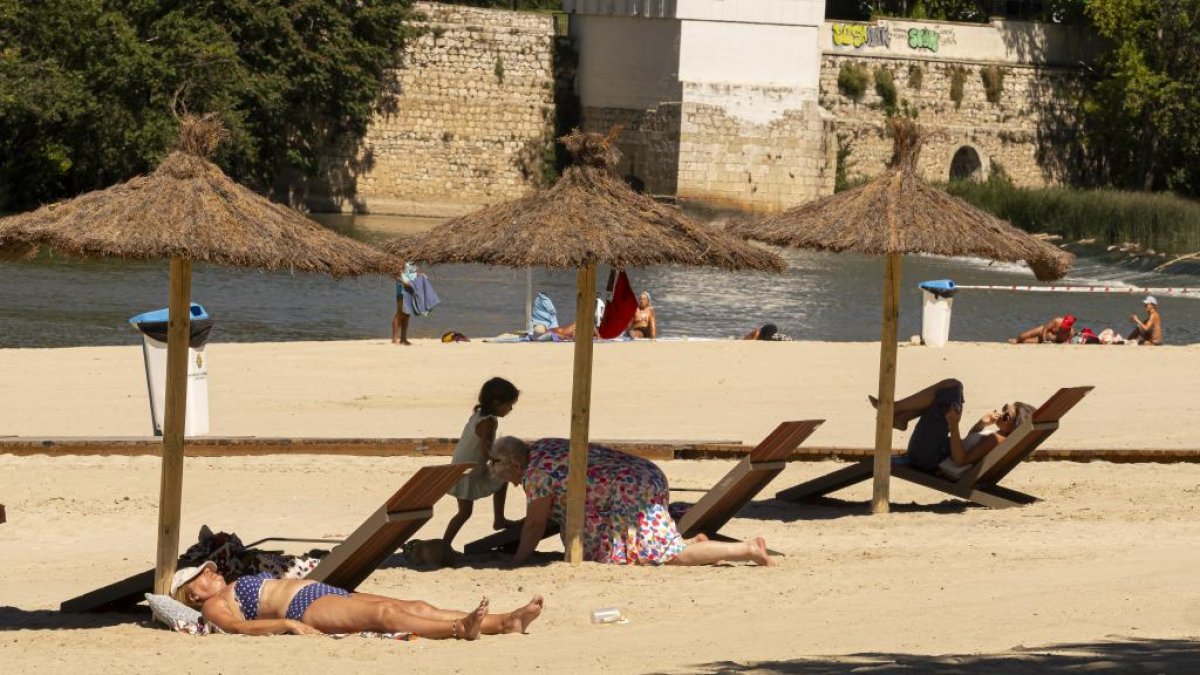 Nuevas tumbonas de la playa de las Moreras.