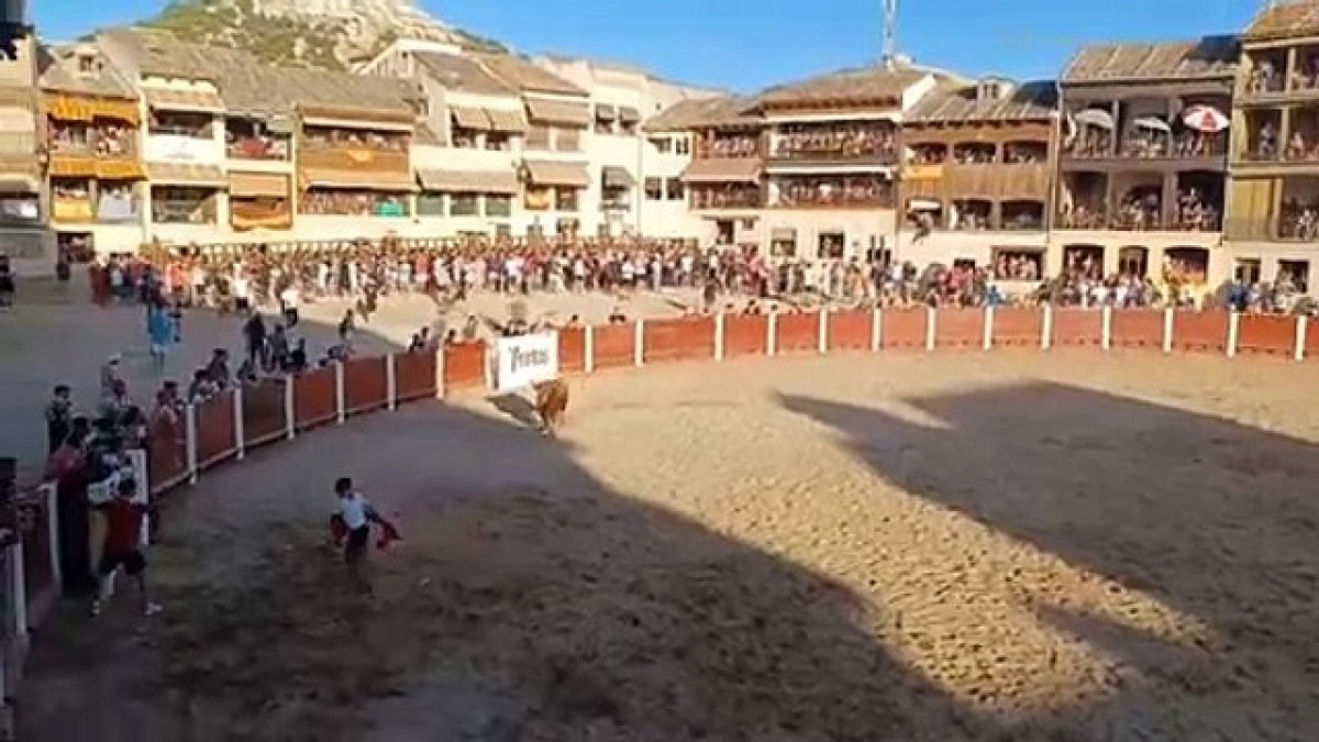 Cogida en la capea  de Peñafiel en Valladolid