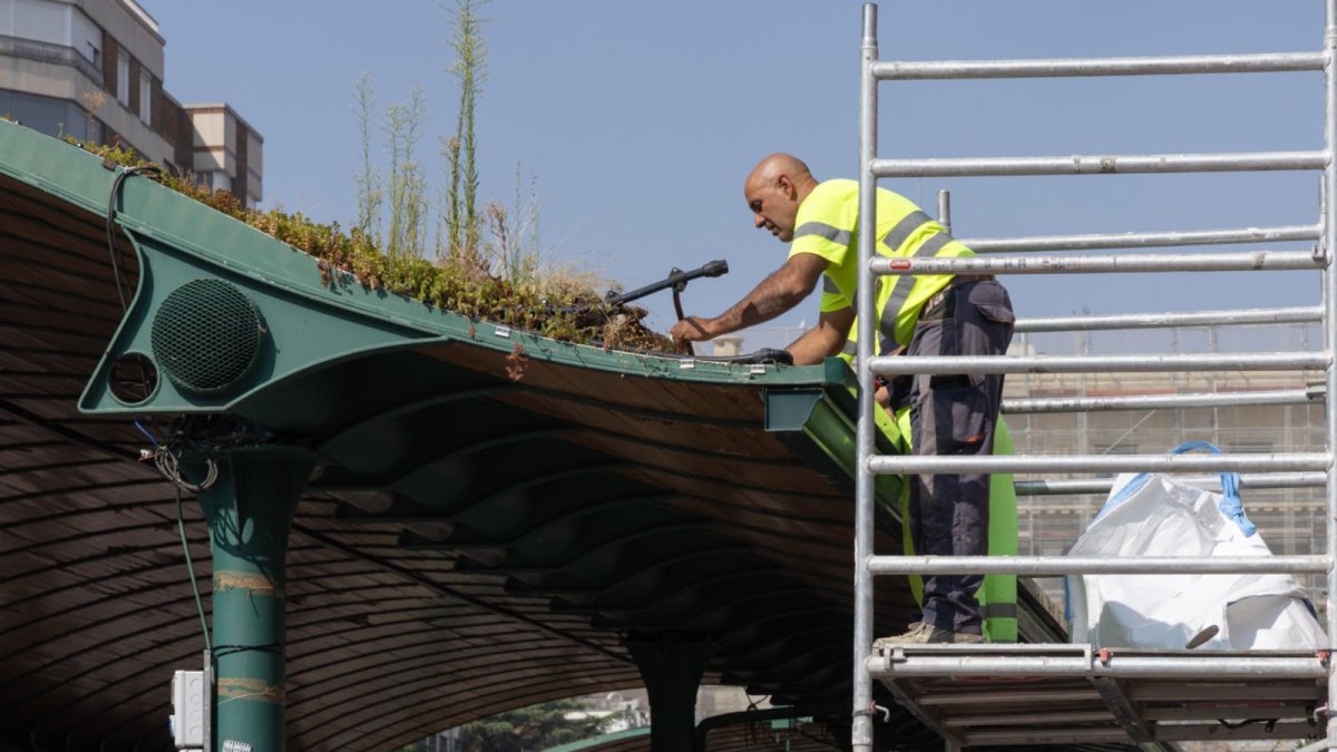 Inicio de las obras de reparación de la marquesina