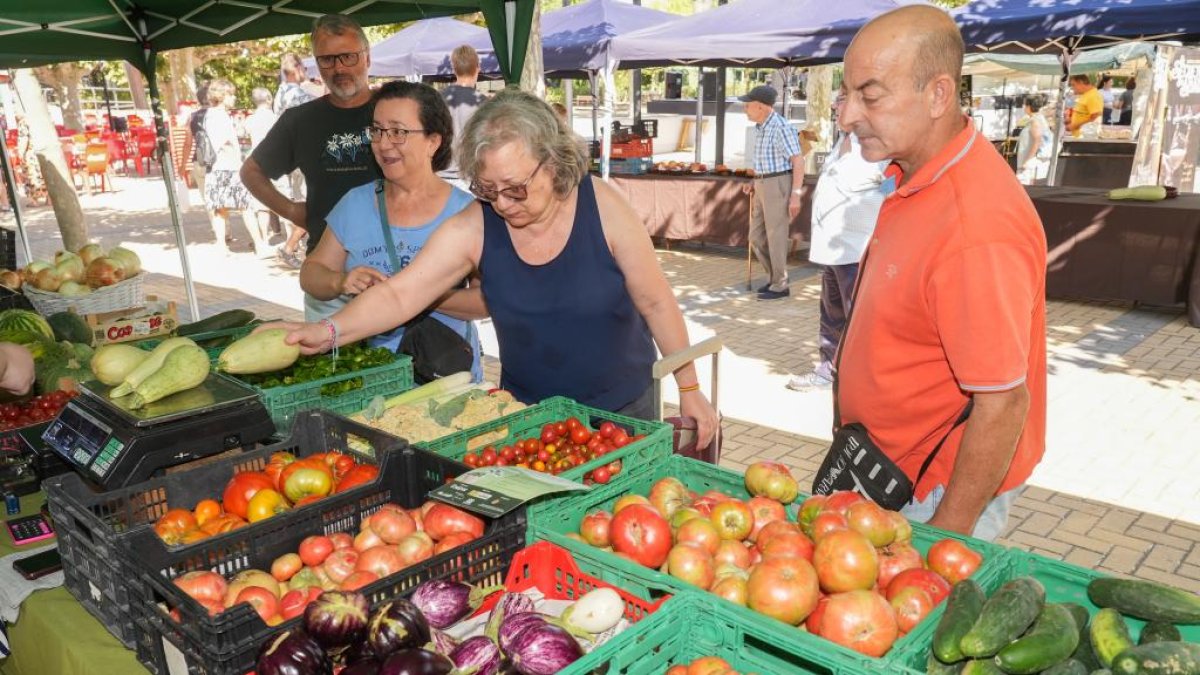 Feria del Tomate 2024 en Tudela de Duero.