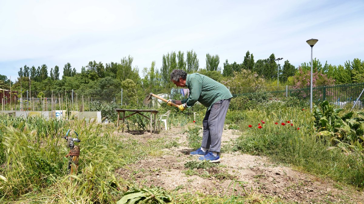 Huerto urbano 'Jardín botánico' en el barrio de La Victoria en una imagen de archivo