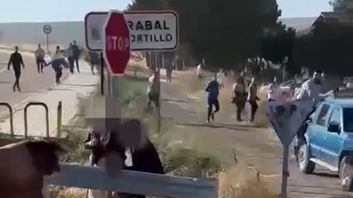 Susto en el encierro de Arrabal de Portillo