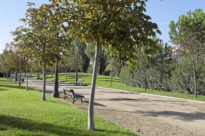Imagen de archivo de una zona verde de Valladolid