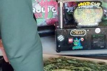 Materiales intervenidos por la Guardia Civil