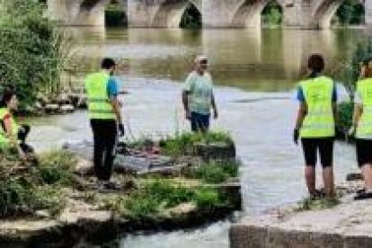 La asociación durante una de sus actividades de recogida de residuos en el Pisuerga.