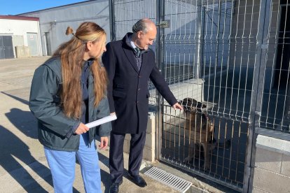 El concejal de Salud Pública y Seguridad Ciudadana, Alberto Cuadrado, visita las obras de remodelación del Centro de Protección Animal