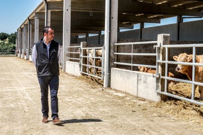 El gerente de la cooperativa salmantina Dehesa Grande, Octavio Gonzalo. ArgiComunicación.