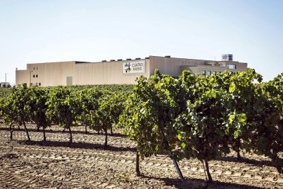 Bodega Cuatro Rayas, en la localidad vallisoletana de La Seca. Una de la cooperativas que podrán visitarse en el marco del programa de Urcacyl / CUATRO RAYAS