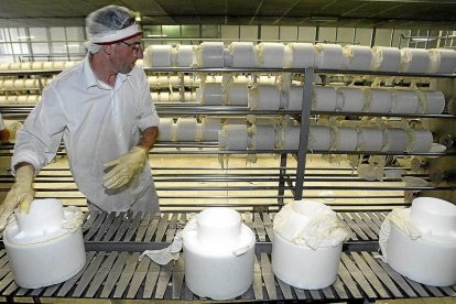 Elaboración de queso con leche de Castilla y León en la localidad zamorana de Fresno de la Ribera.-ICAL