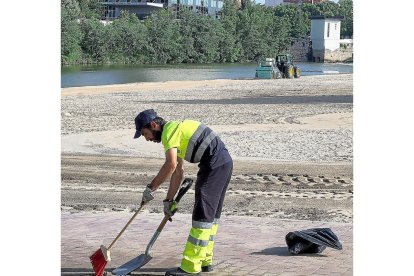 Un trabajador del Servicio de Limpieza en la playa de Las Moreras, imagen de archivo.- E.M.