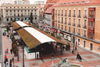 Imagen de la marquesina verde la plaza España de Valladolid / J.M. LOSTAU