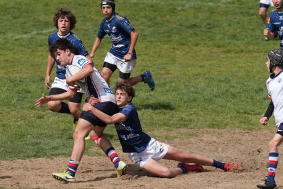 Torneo Nacional M14 de rugby en Valladolid. / LOSTAU