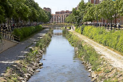 Imagen de archivo del Paseo del Cauce de Valladolid. | Photogenic
