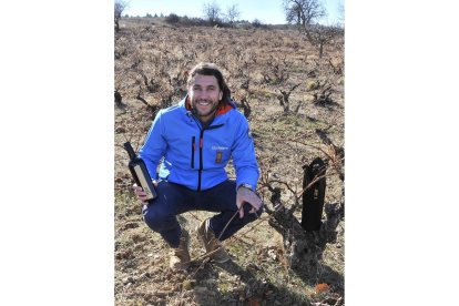 Julio Romera posa en una de las parcelas de viña vieja recuperadas para Taruguín.-V. GUISANDE