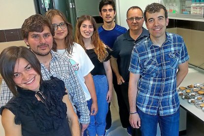 Marianna Fil, Óscar Velasco, Macarena Toral, María Bravo, Iván Álvarez, Alberto Sola y Carlos Barreiro en las instalaciones del Instituto de Biotecnología de León.-EL MUNDO