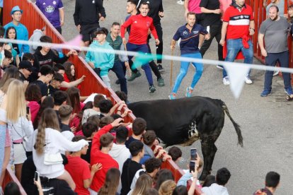 Encierro de las fiestas de la Flecha, Valladolid. Foto: Joaquín Rivas / Photogenic.