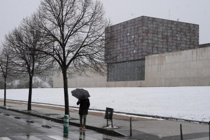 La nevada en Valladolid. J. M. LOSTAU