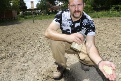 Manuel Calvo en uno de los campos de ensayo de quinoa que ha puesto en marcha el Itagra en Palencia.-BRÁGIMO