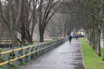 Zona del Paseo del Cauce, junto al  campus universitario, en el que se cometió la agresión sexual.  PHOTOGENIC