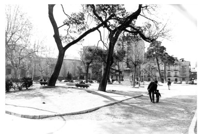 plaza de la universidad