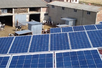 Paneles solares en una explotación de vacuno. Gracias a la energía solar, los ganaderos se ahorran el gasto en combustible para poner en marcha, por ejemplo, sus ordeñadoras.-ABASOL