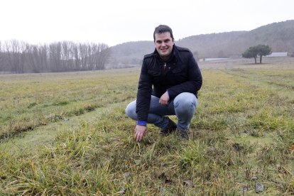 Carlos Ciria Ramos, investigador del CEDER en los campos de cultivos sobre los que se han realizado los ensayos. LUIS ÁNGEL TEJEDOR