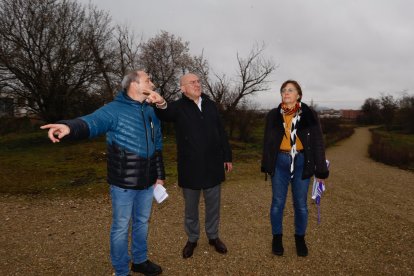 El alcalde Jesús Julio Carnero visita la zona en la que se ejecutará la Reserva biológica-urbana ‘El Tomillo’. -ICAL.