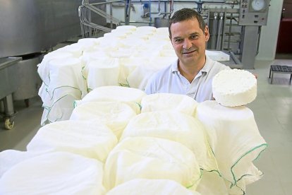 Miguel Pérez  asoma con un queso fresco entre los moldes y telas bancas que utiliza en la elaboración. Abajo, algunos de los quesos que elabora-M. T.