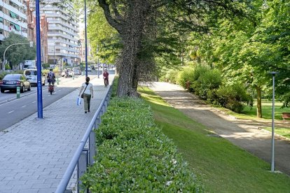 Carril bici de Isabel la Católica junto a la acera y el jardín de las Moreras. J.M. LOSTAU