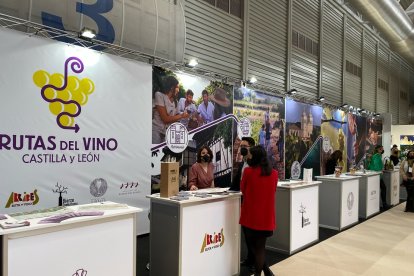 Stands de la Feria Internacional de Enoturismo celebrada en la Feria de Valladolid.- E.M.