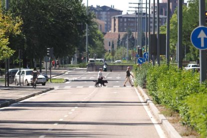 Escaso tráfico en la ciudad de Valladolid a causa del corte de tráfico por La Vuelta. / PHOTOGENIC