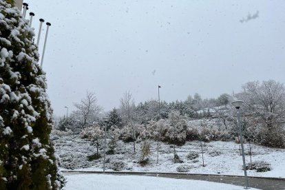 Valladolid bajo la nieve. - EM