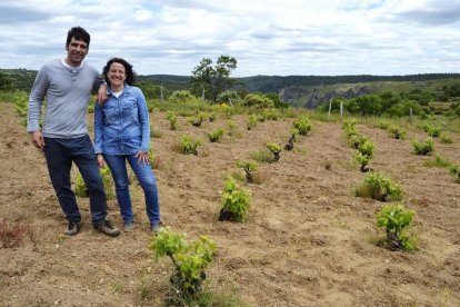 José Manuel y Liliana, en uno de sus pagos de viña vieja, en el arribe, junto al Duero.-ARGICOMUNICACIÓN