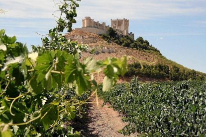 Museo Provincial del vino (Peñafiel, Valladolid). - E.M.