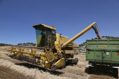 La renovación de maquinaria agrícola en Castilla y León tendrá que esperar en muchos casos debido a la inflación provocada por la guerra de Ucrania. / ICAL