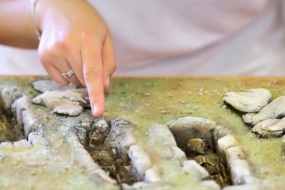 Una de las muestras que se pueden ver en la exposición ‘La huella del Tiempo. Yacimientos arqueológicos de Matallana’. PABLO REQUEJO / PHOTOGENIC