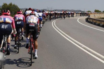 Los ciclistas de la Vuelta, durante la séptima etapa de la prueba.-EFE / JAVIER LIZON