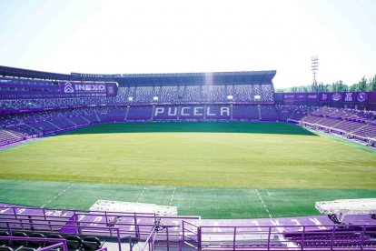 Estadio Zorrilla tras el cambio de césped. / RVCF / I. SOLA