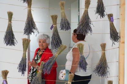 Campos de lavanda y centro de interpretación en la localidad vallisoletana de Tiedra. M.LOSTAU