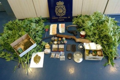 Sustancias incautadas por la Policía Nacional de Astorga.-SUBDELEGACIÓN