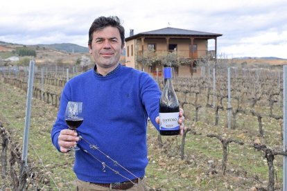 Guillermo Tenoira, en el centro de la viña del paraje de la Padorniña, en Villafranca del Bierzo.-