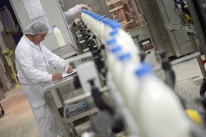 Una de las líneas de envasado en la factoría vallisoletana Lauki, del grupo francés Lactalis.-ICAL