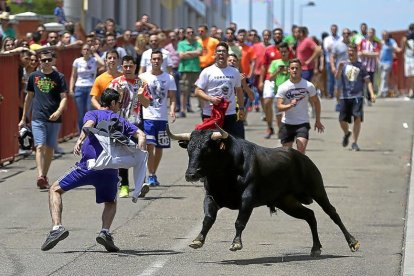 Encierro en las fiestas de La Flecha. -PHOTOGENIC